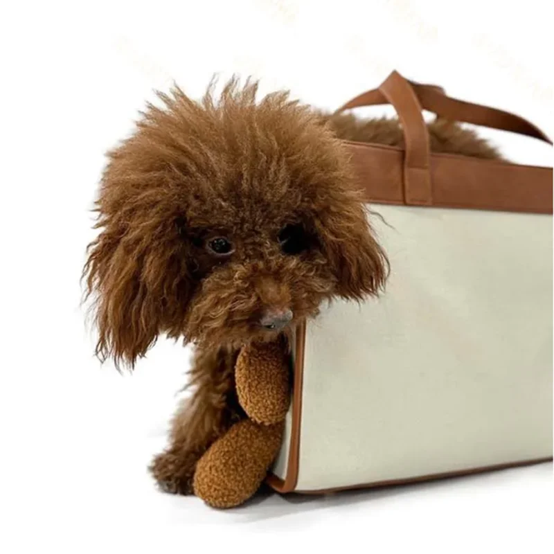 Pet Carry Bag