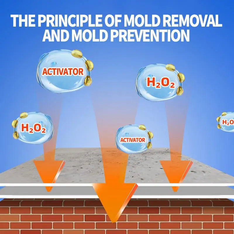 Wall Mold Remover