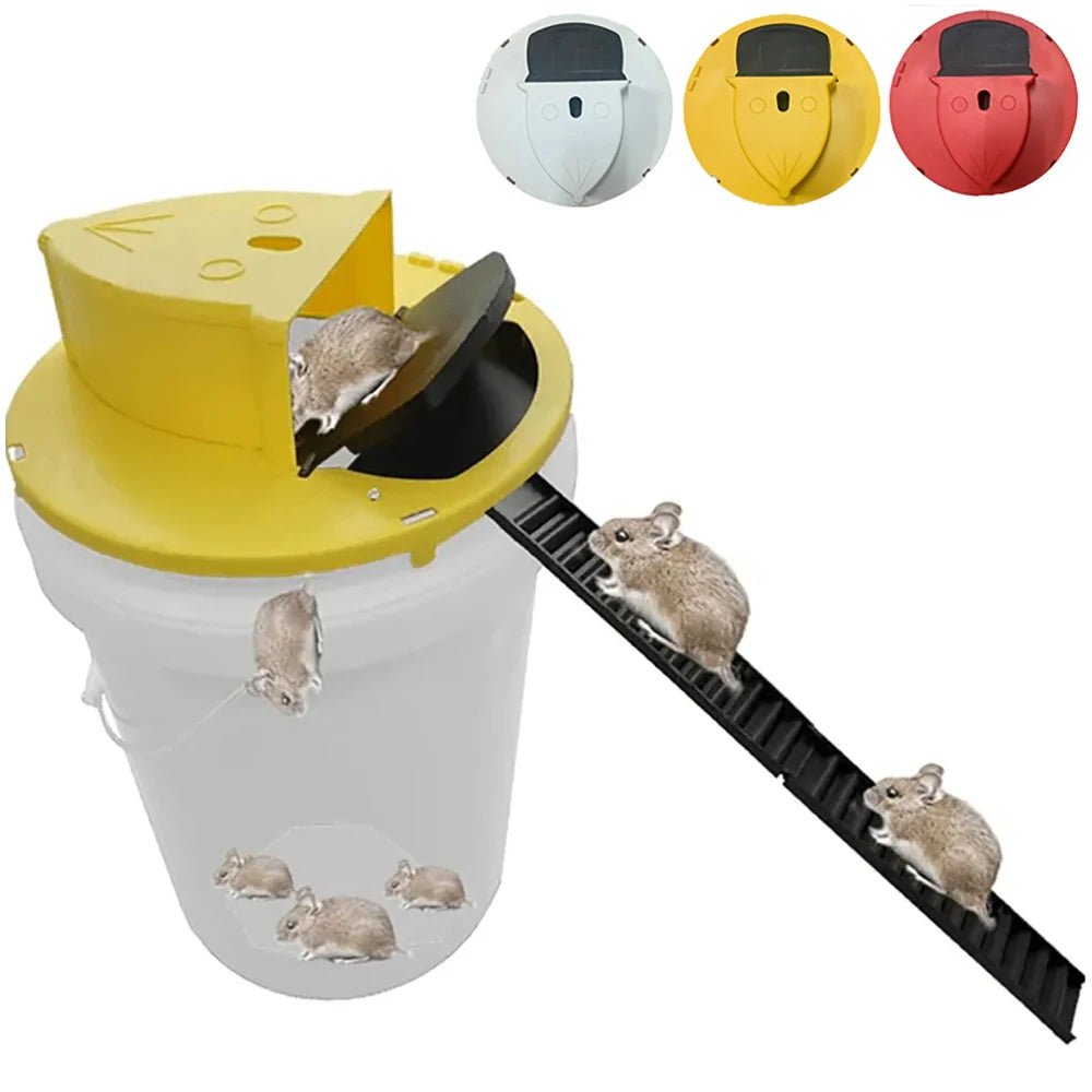 Bucket Lid Mouse Trap