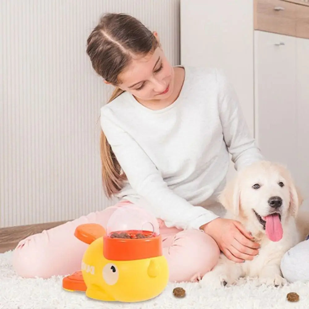 Intelligent Pet Feeder