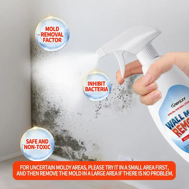 Wall Mold Remover