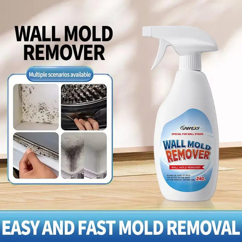 Wall Mold Remover