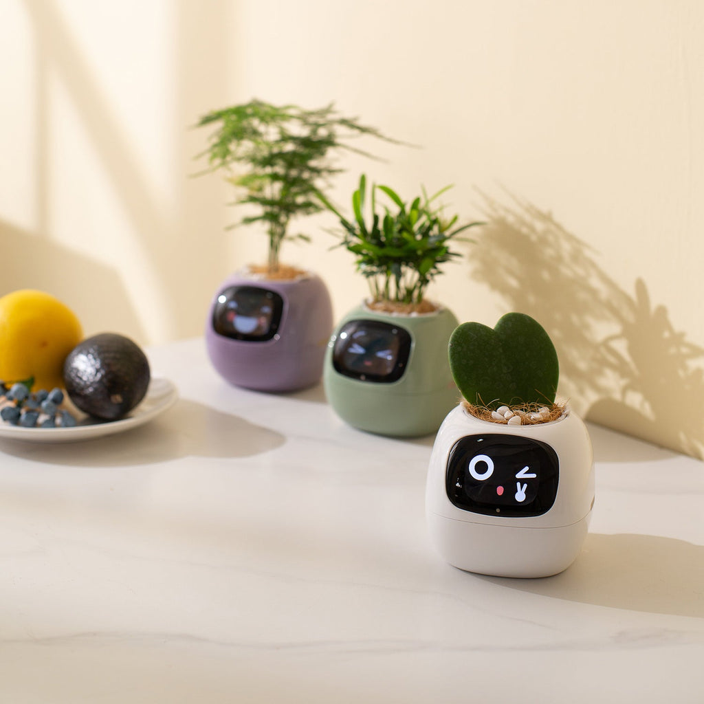 Smart Plant Pet - Gymattic