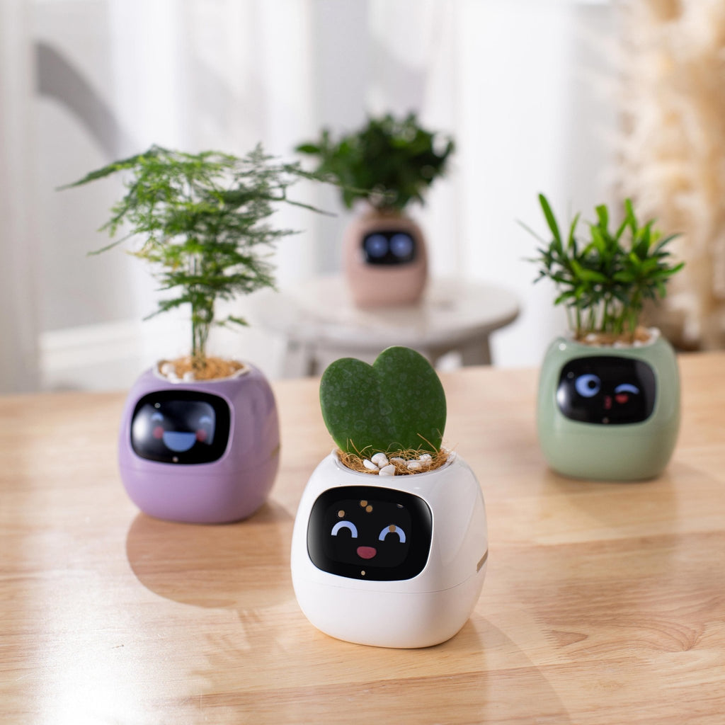 Smart Plant Pet - Gymattic