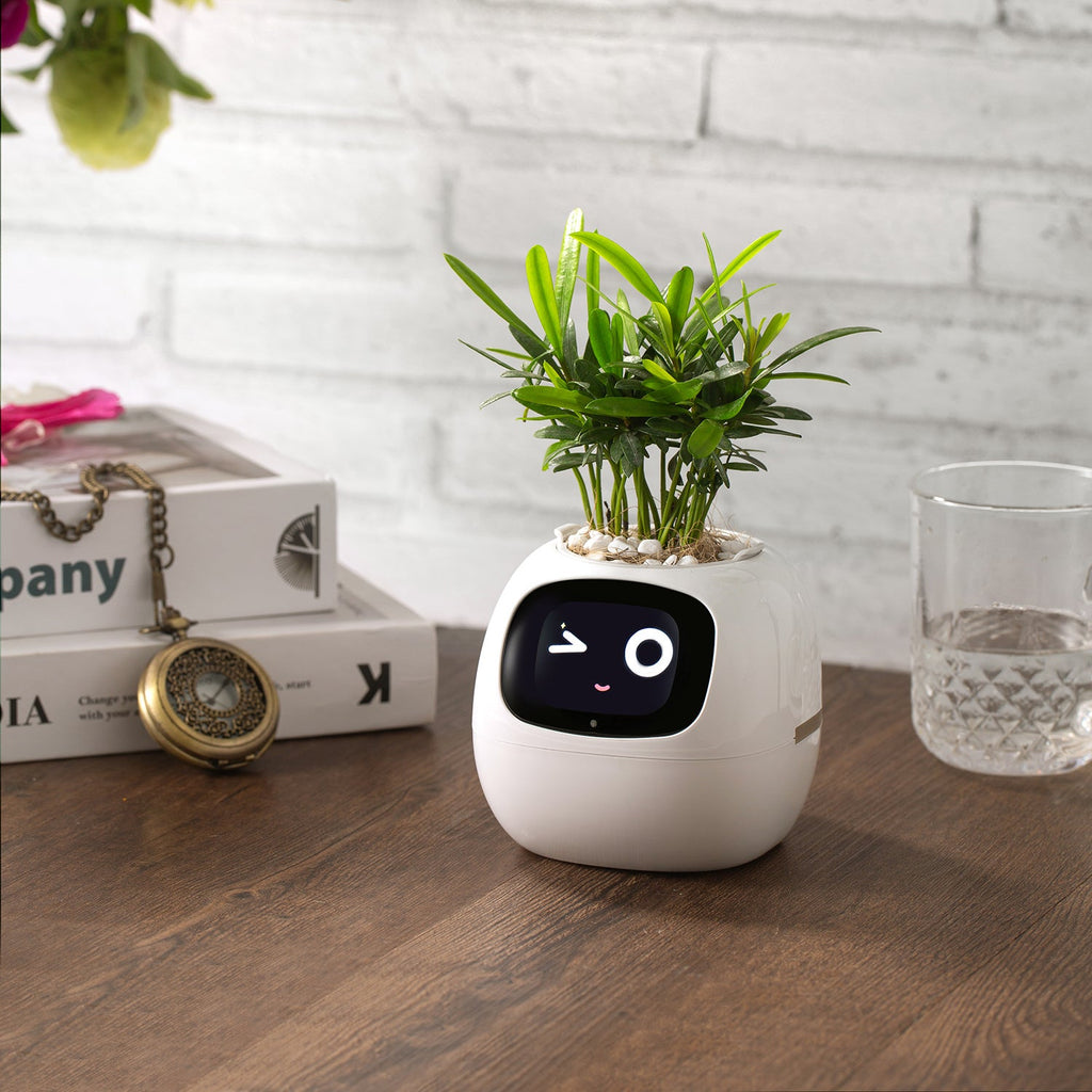 Smart Plant Pet - Gymattic